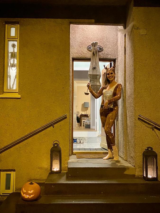Casa Disa - Dreams, A Boutique Guesthouse In Reykjavik City'S Central Park And Botanical Garden In Laugardalur, Hot-Spring-Valley Zewnętrze zdjęcie
