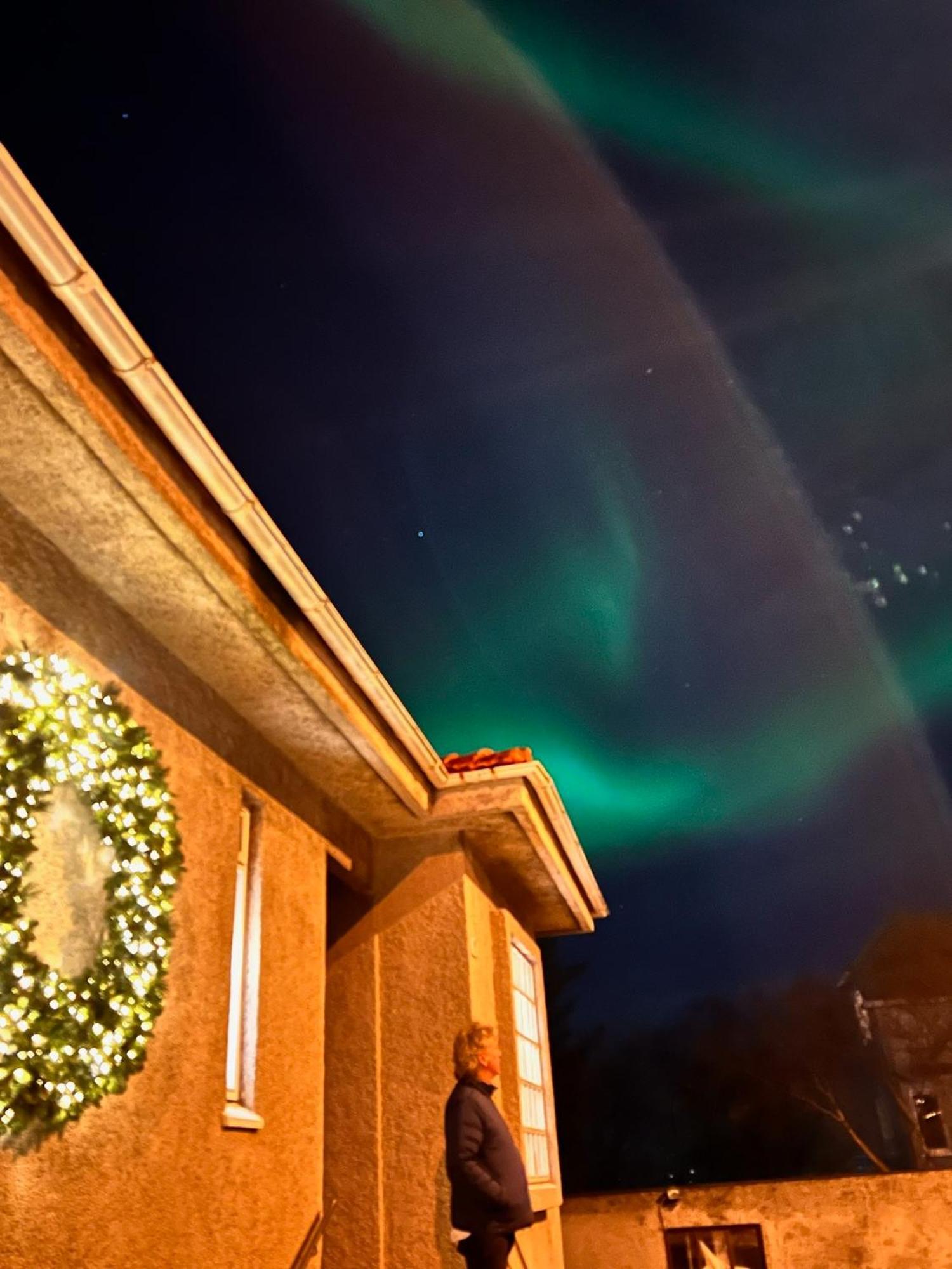 Casa Disa - Dreams, A Boutique Guesthouse In Reykjavik City'S Central Park And Botanical Garden In Laugardalur, Hot-Spring-Valley Zewnętrze zdjęcie