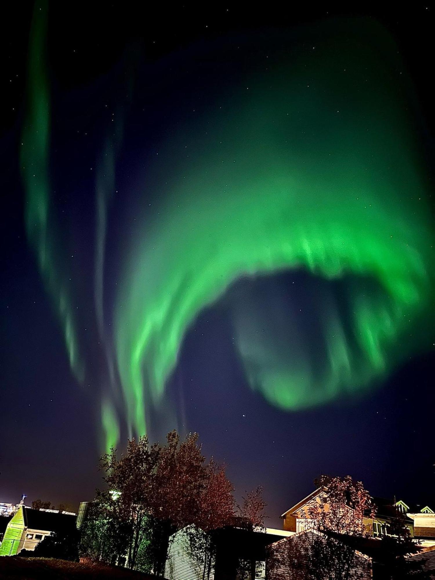 Casa Disa - Dreams, A Boutique Guesthouse In Reykjavik City'S Central Park And Botanical Garden In Laugardalur, Hot-Spring-Valley Zewnętrze zdjęcie