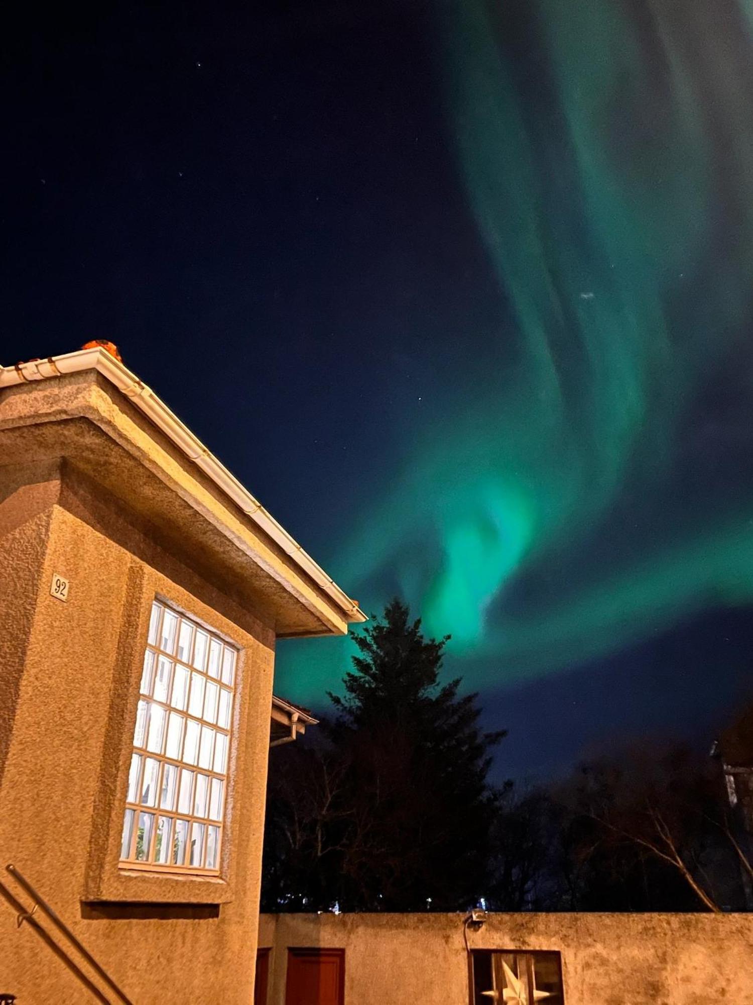 Casa Disa - Dreams, A Boutique Guesthouse In Reykjavik City'S Central Park And Botanical Garden In Laugardalur, Hot-Spring-Valley Zewnętrze zdjęcie